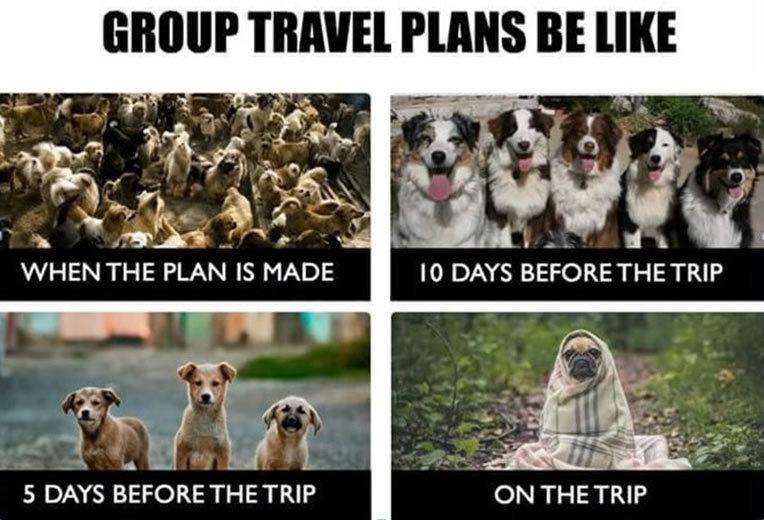Group Travel Memes