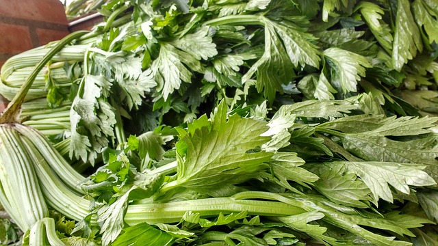 Is Celery Juice Low FODMAP Viraflare